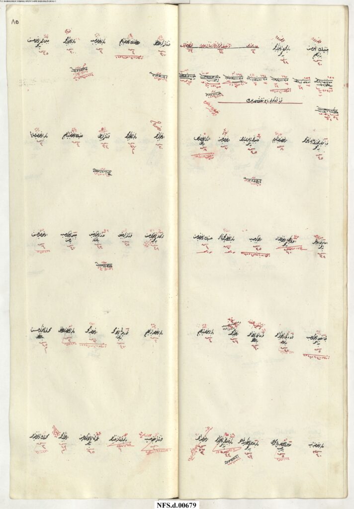 NFS_d___00679_00087-712x1024 Karye-i Kasablar Tâbi-i Nefs-i Şehr-i Bolu NFS.d 679